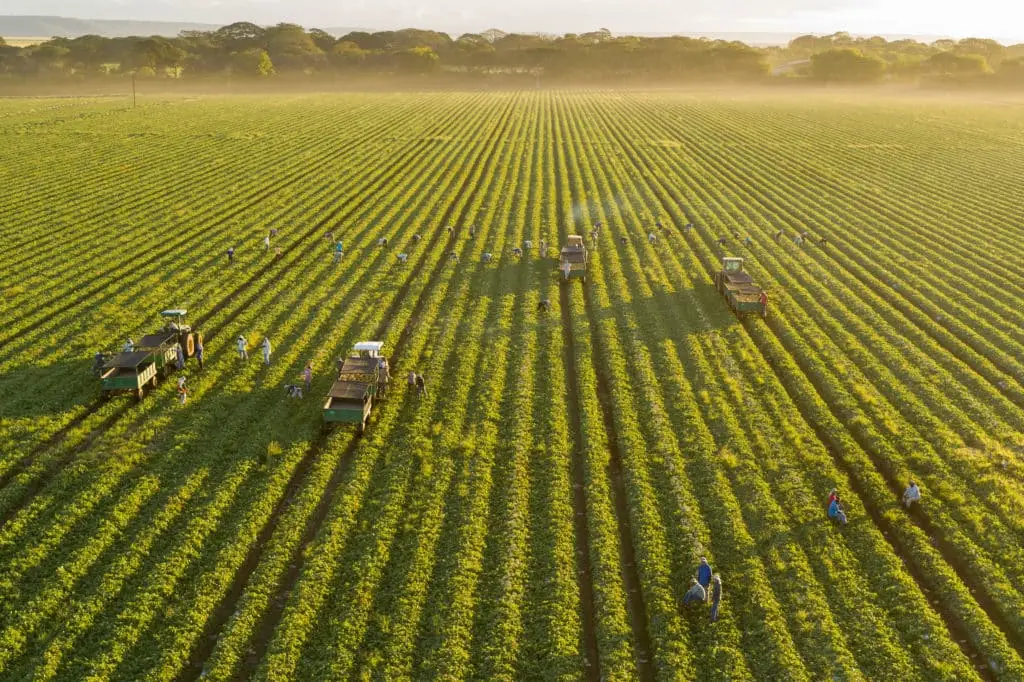 Del Monte Fresh Produce Co in Port Hueneme, CA (2)