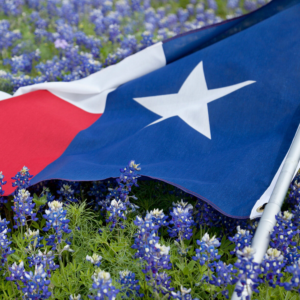 Beaux Cook and Associates LLC in Kerrville, TX (2)