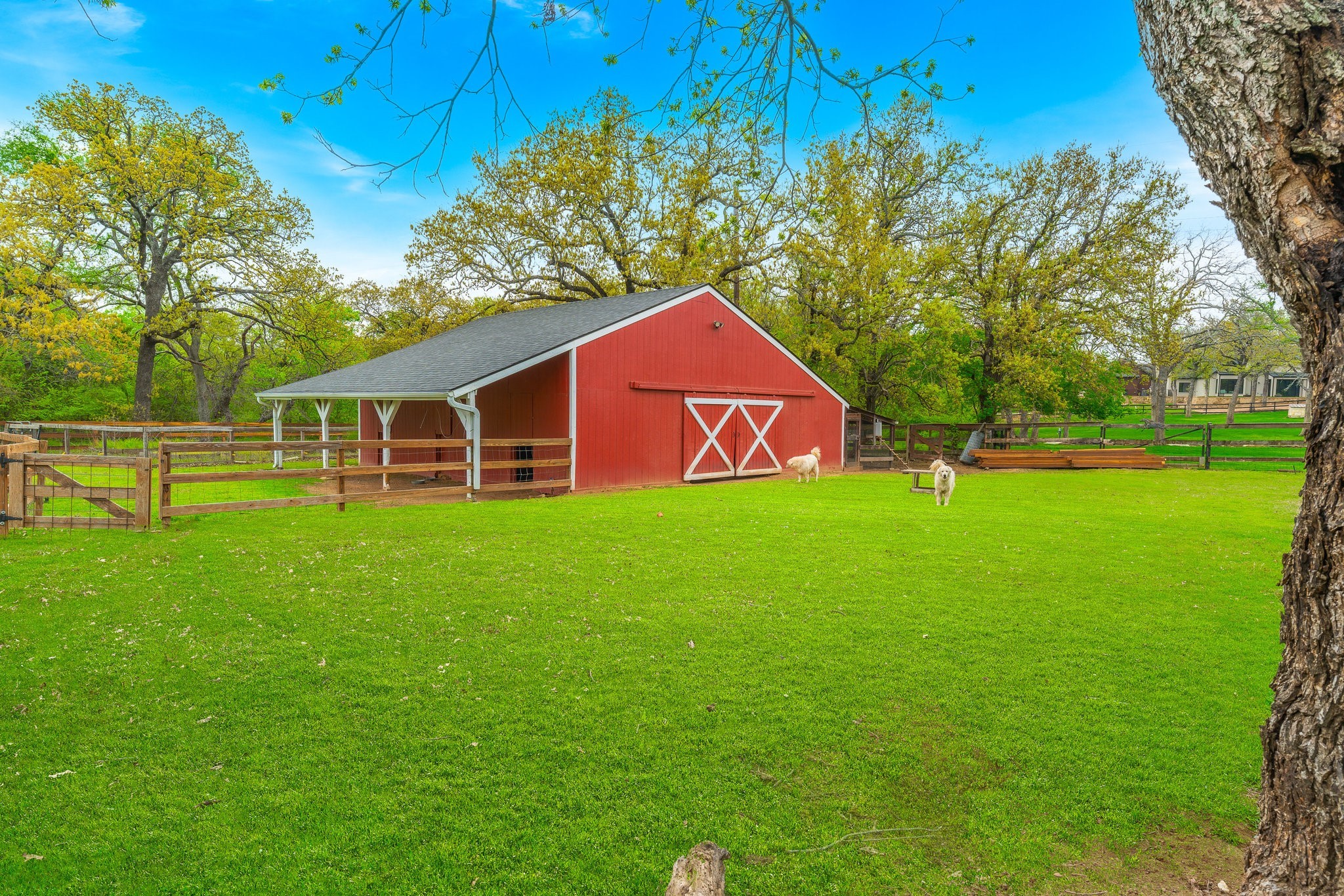 The North Texas Team / Jollete Ryon Realtor / Argyle / Relocation Specialist / Denton in Argyle, TX (3)