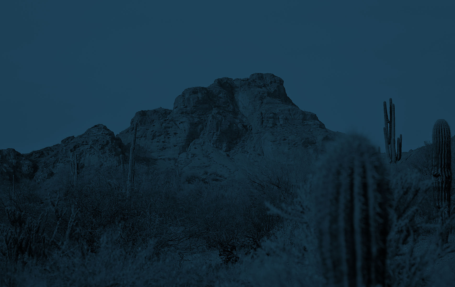 Copper Canyon Law LLC in Mesa, AZ (4)
