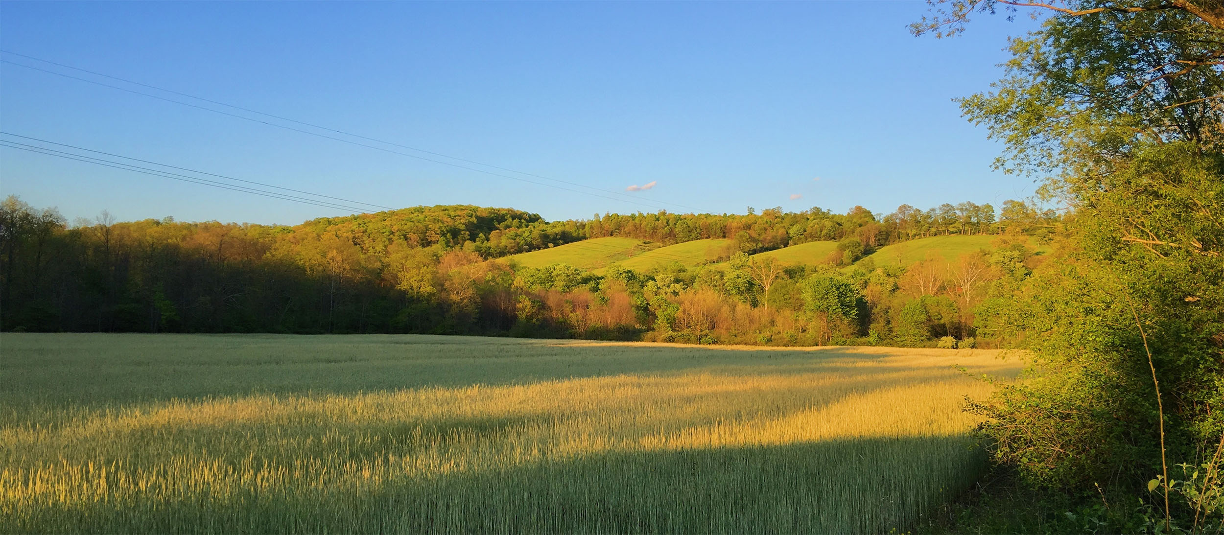 Lake & Country Real Estate in Huntingdon, PA (3)