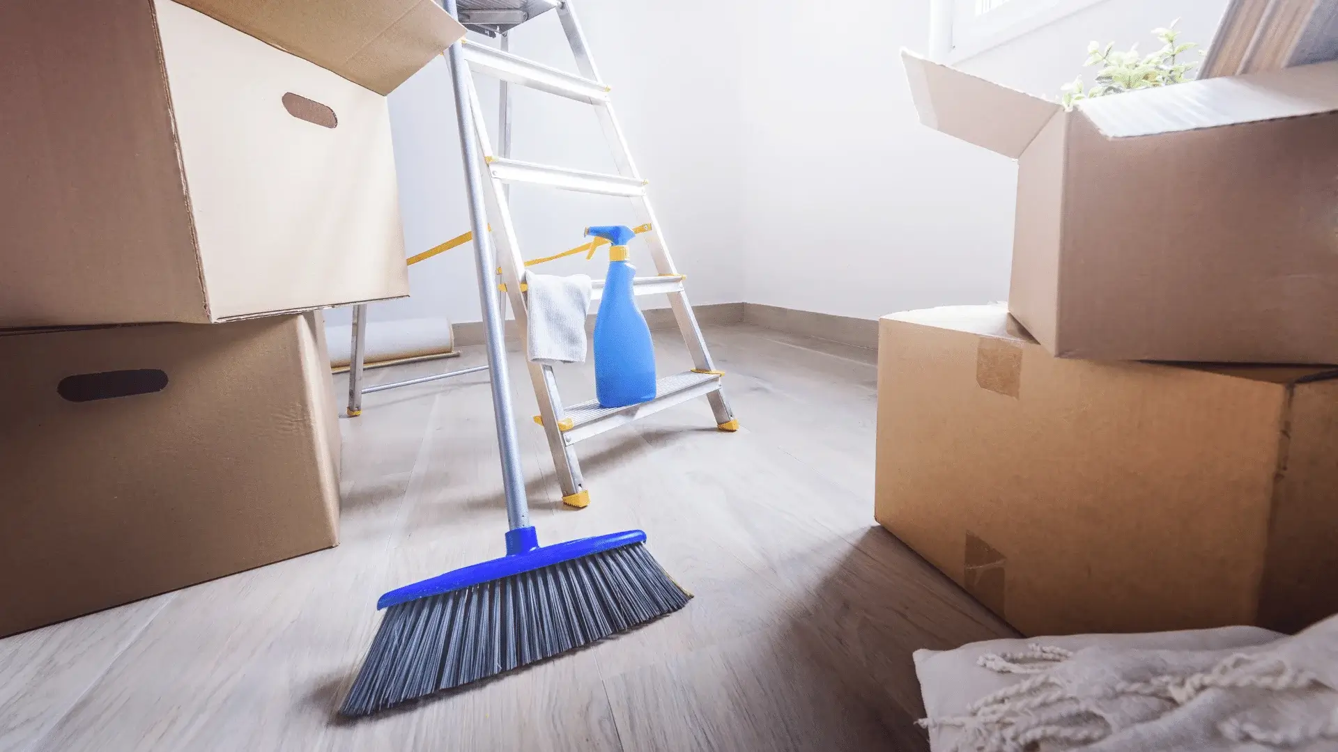 Hazel's Cleaning Services in McKinney, TX (5)