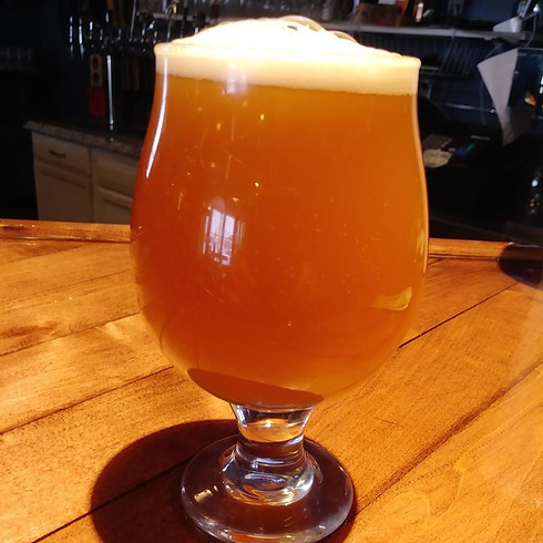 Hillsdale Brewing Company in Hillsdale, MI (4)