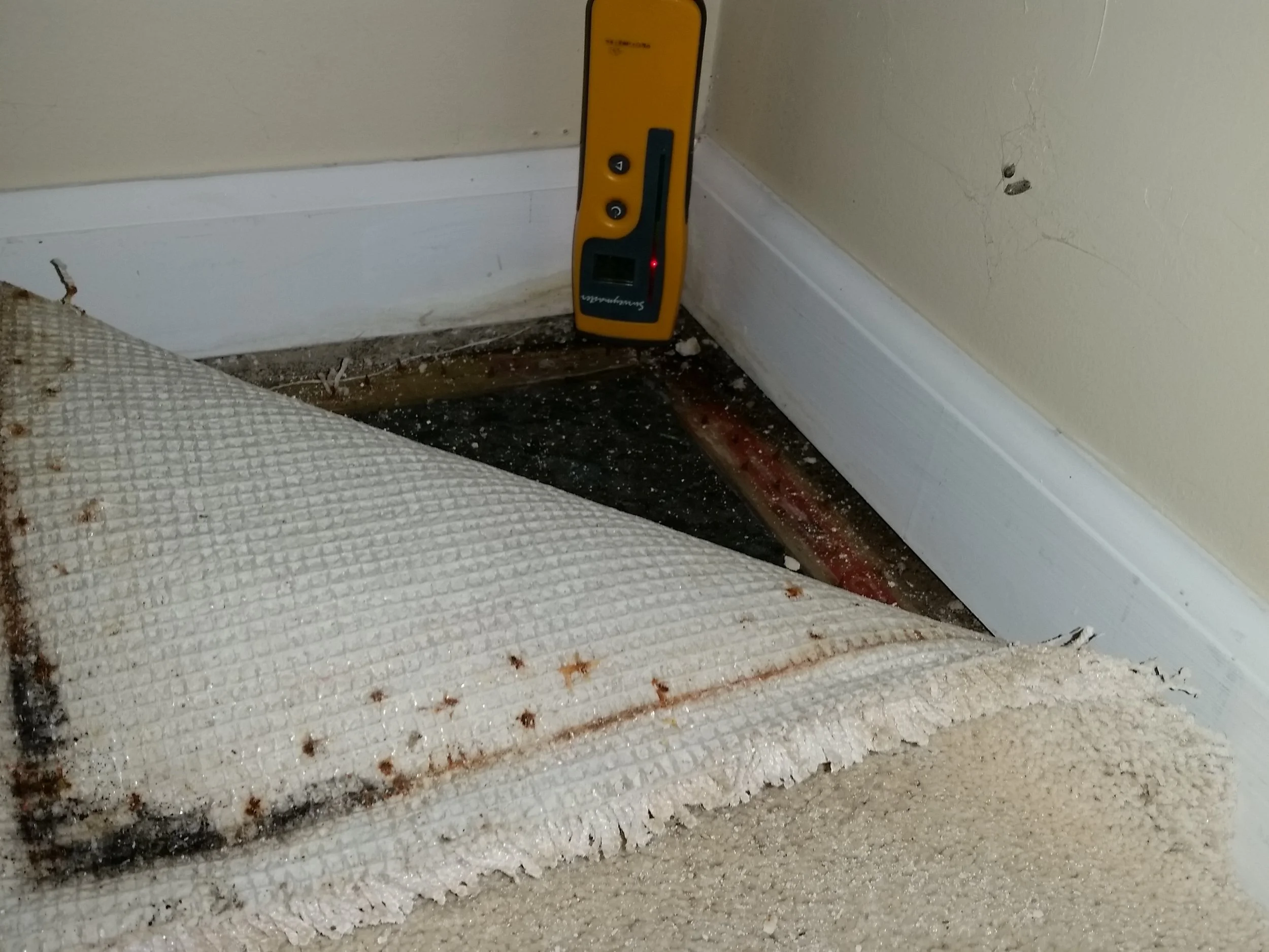 Minnesota Mold Inspection, LLC in Maple Plain, MN