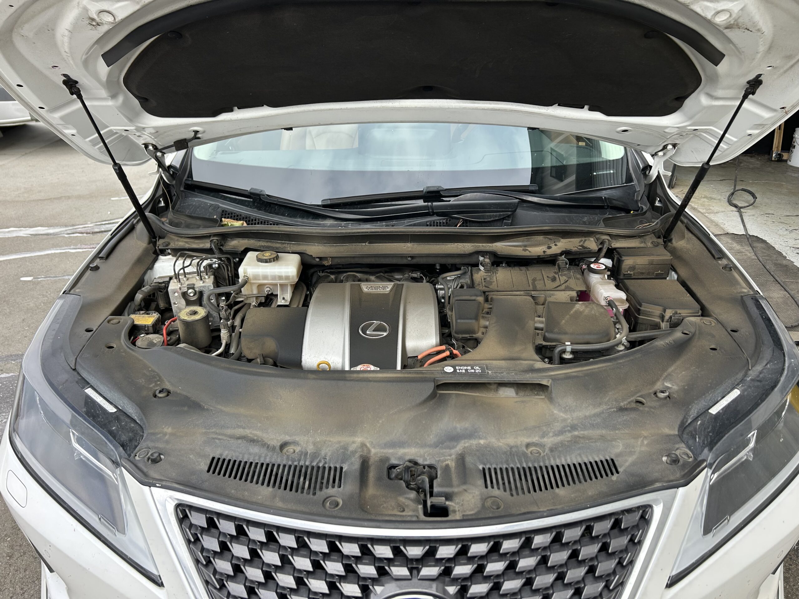 Optimized Detailing in Salinas, CA (3)