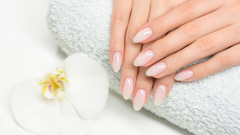 Kat Lotus Nail Bar in Medina, OH (5)