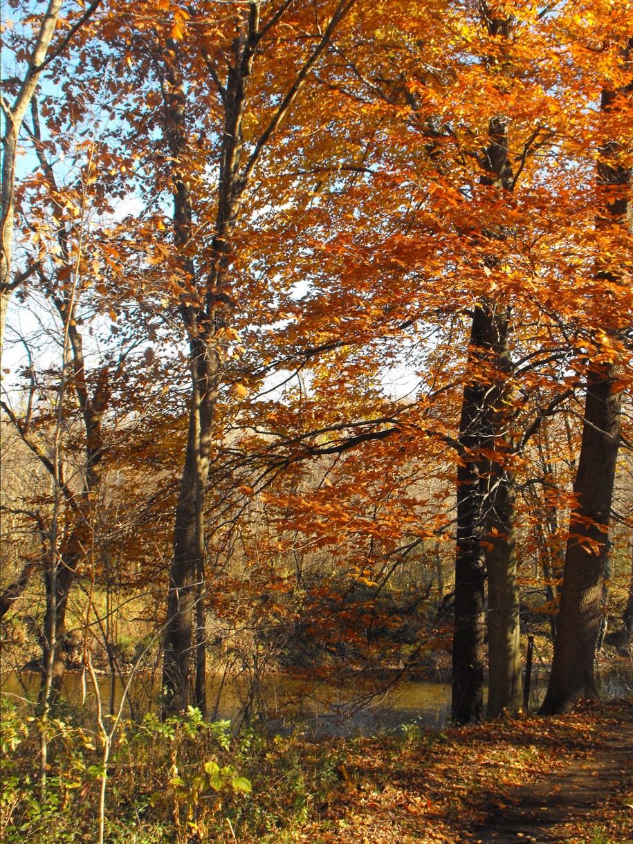 Brown Family Environmental Center in Gambier, OH