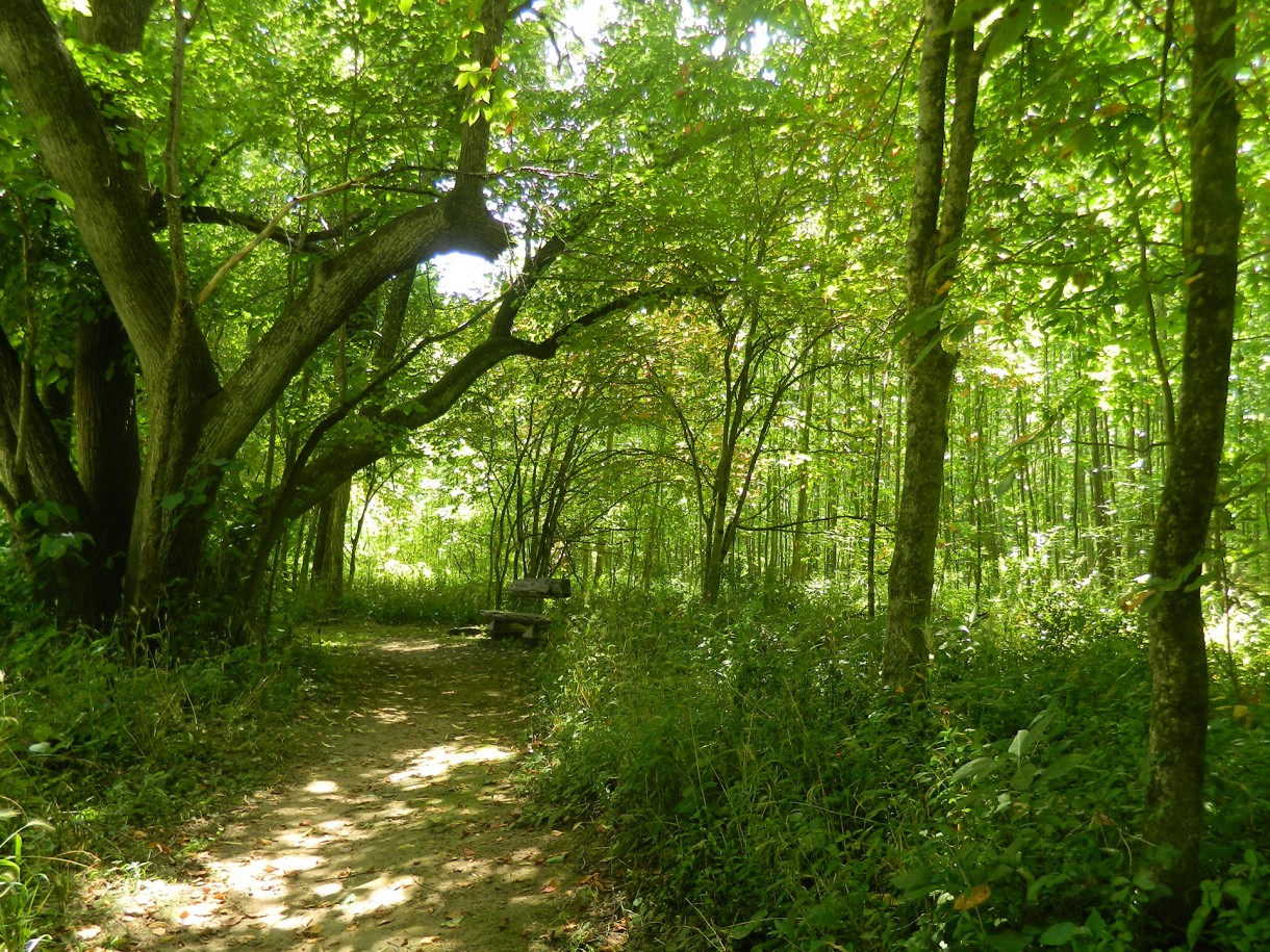 Brown Family Environmental Center in Gambier, OH (3)