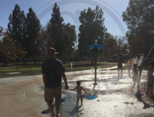 Willbanks & Wood PLC in Tracy, CA (3)