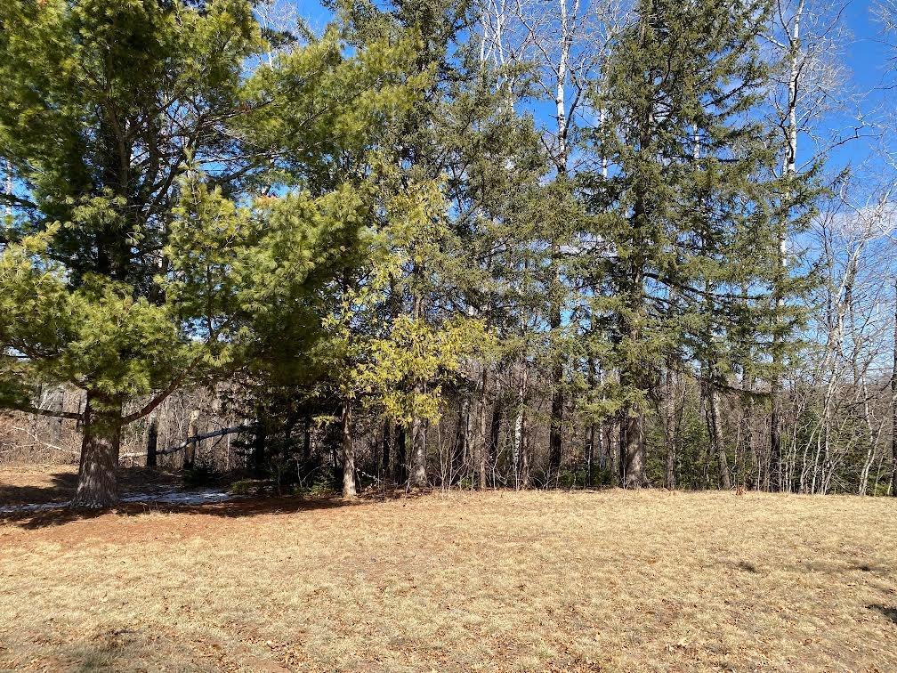 Lakewoods Real Estate - Kevin Brisky/Realtor in Springbrook, WI