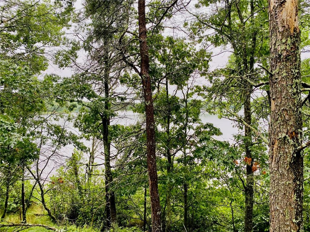 Lakewoods Real Estate - Kevin Brisky/Realtor in Springbrook, WI (2)