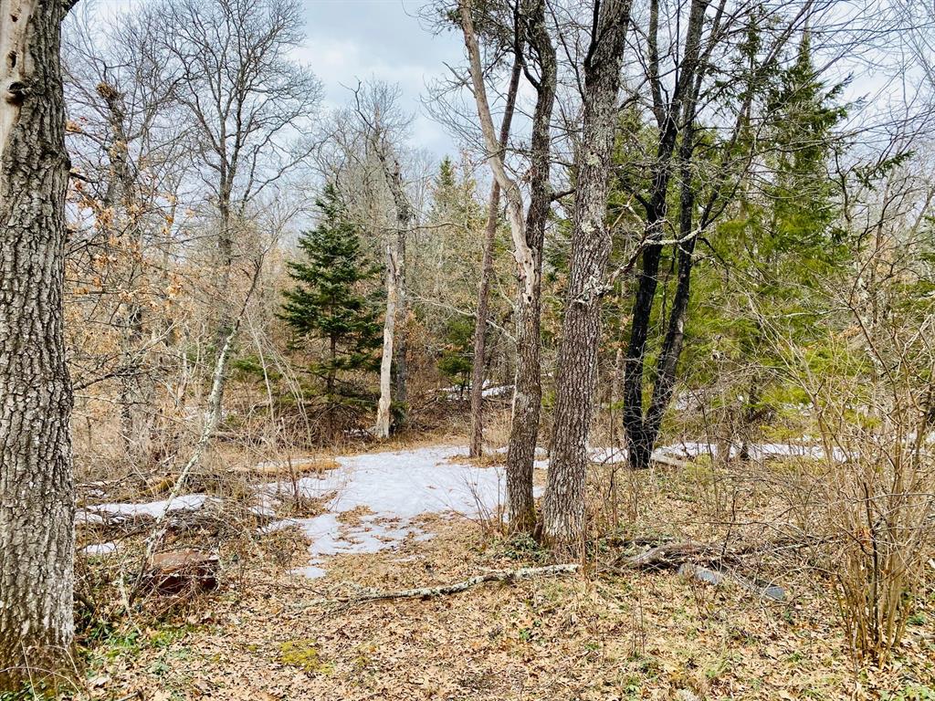Lakewoods Real Estate - Kevin Brisky/Realtor in Springbrook, WI (3)