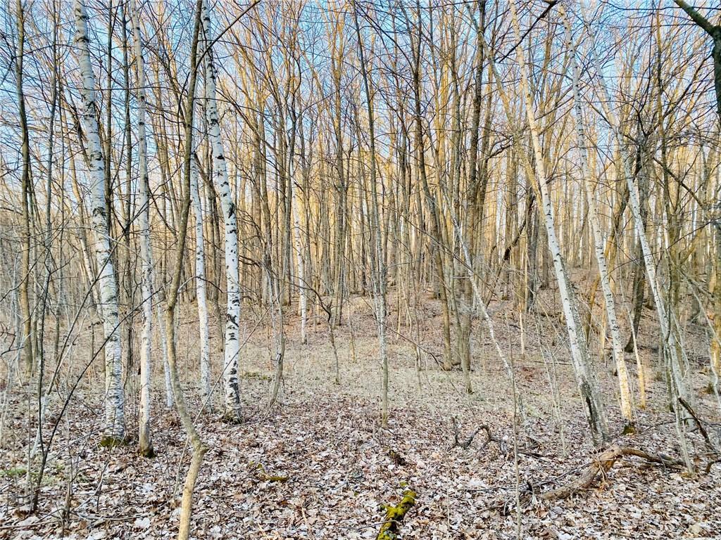 Lakewoods Real Estate - Kevin Brisky/Realtor in Springbrook, WI (4)