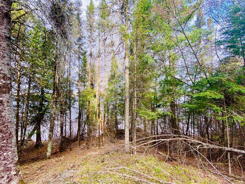Lakewoods Real Estate - Kevin Brisky/Realtor in Springbrook, WI (5)