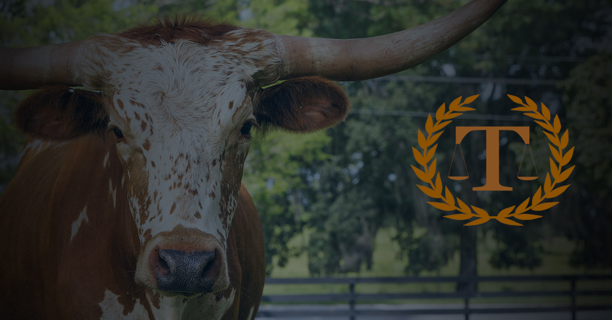 Thomas Law Firm in Austin, TX