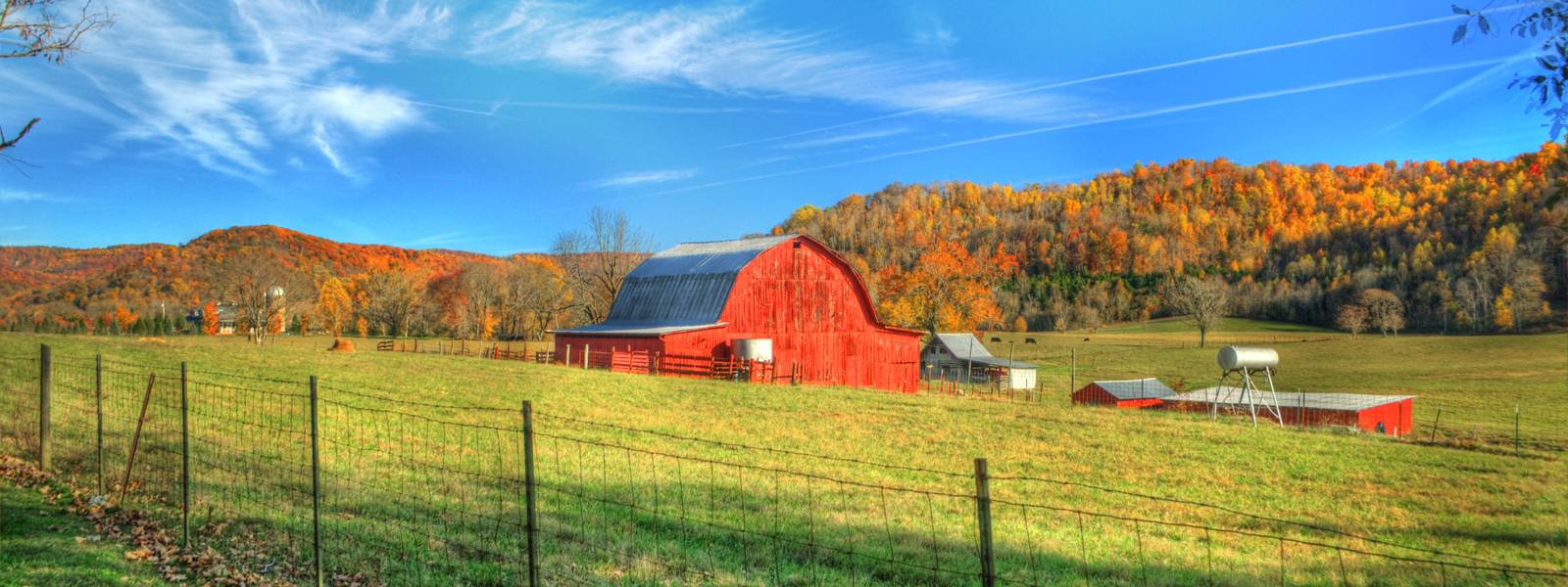 American Way Real Estate - April Alcorn Realtor in Cookeville, TN (4)