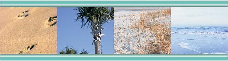 East Islands Real Estate in Isle of Palms, SC (3)