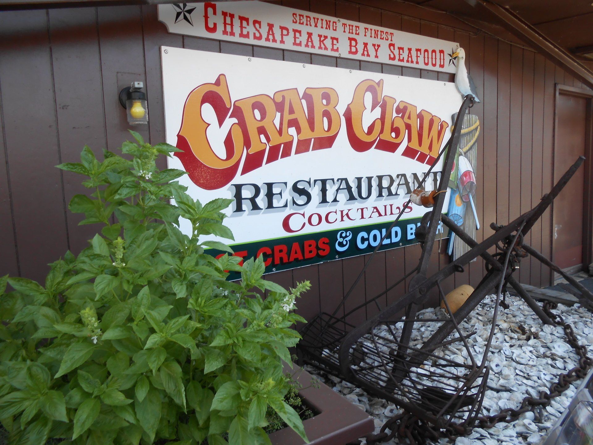 The Crab Claw in St Michaels, MD (3)