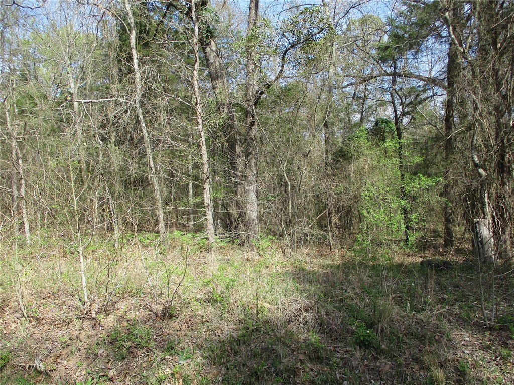 L. L. Spencer Real Estate in Emory, TX