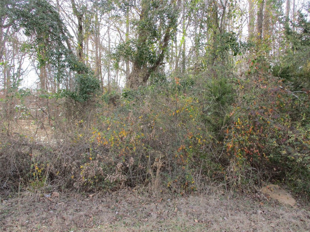 L. L. Spencer Real Estate in Emory, TX (2)