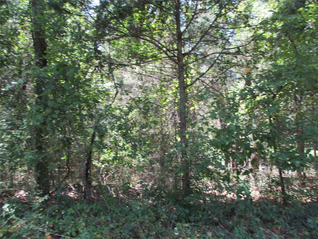 L. L. Spencer Real Estate in Emory, TX (6)