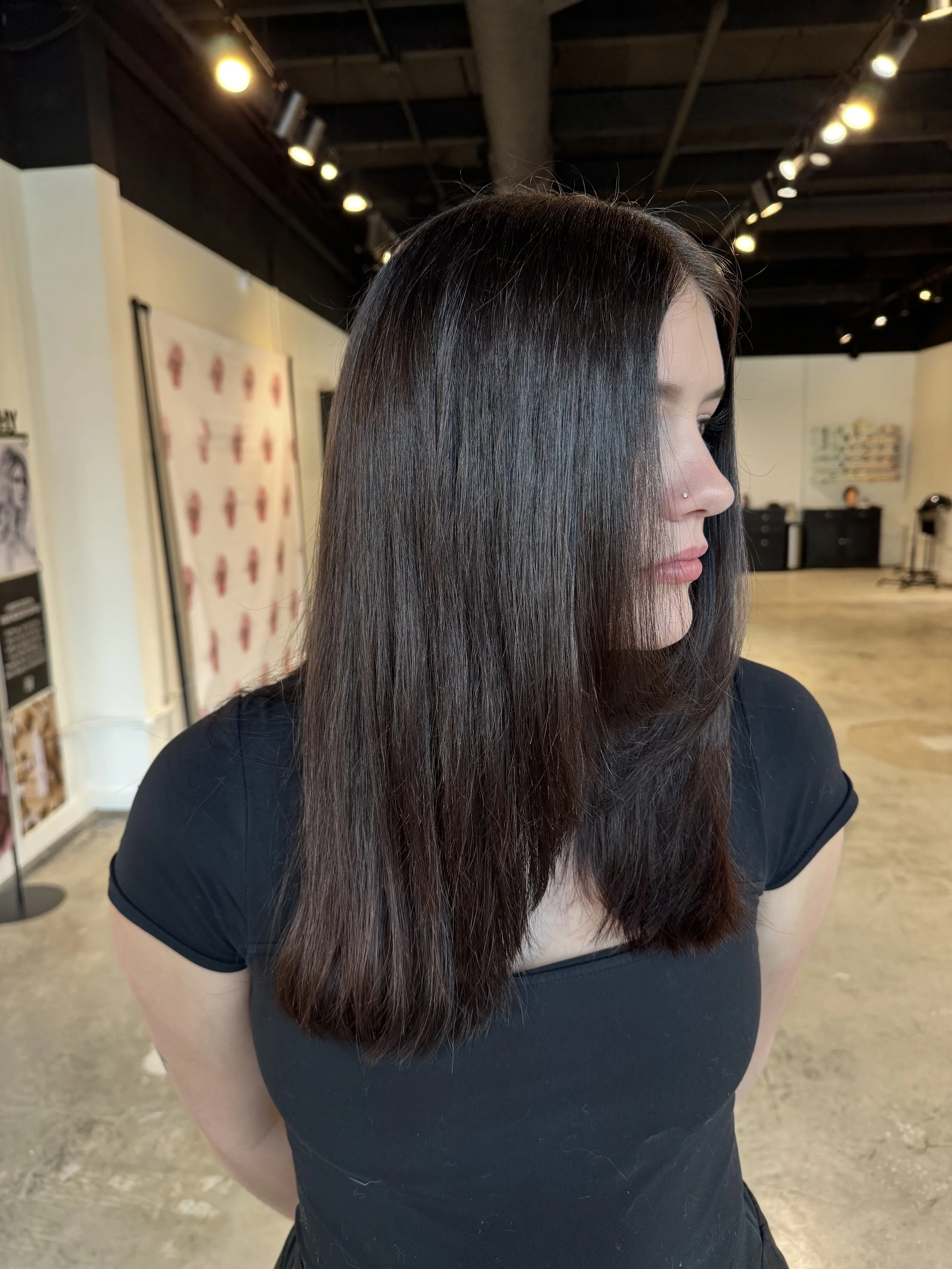 AMP Hair Extension Studio in Mishawaka, IN
