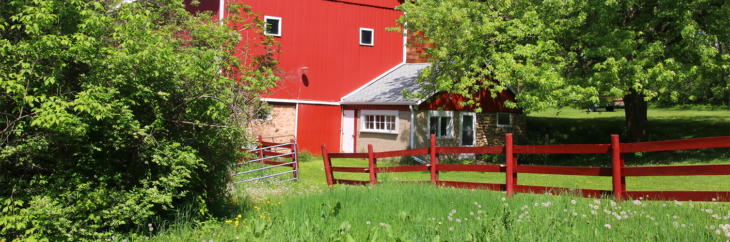 Dan McCaskey, RE/MAX Revealty in Chardon, OH