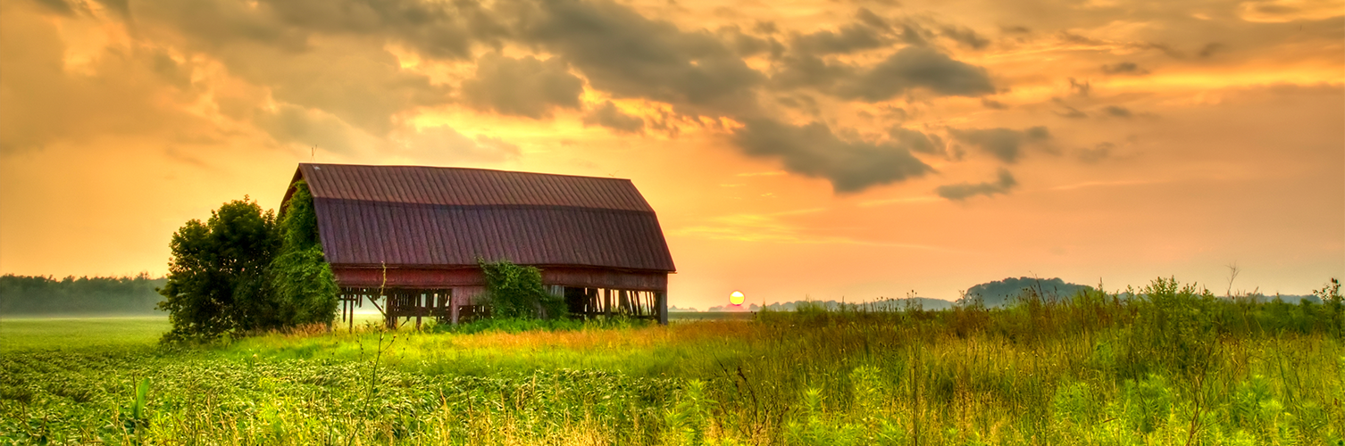 Dan McCaskey, RE/MAX Revealty in Chardon, OH (4)