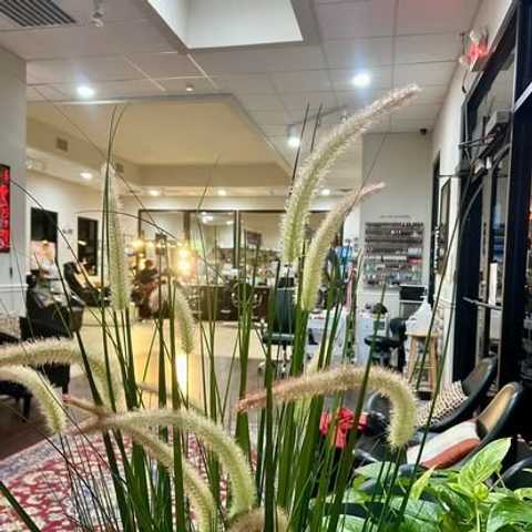Amira's Cryo Spa And Salon in Houston, TX (3)
