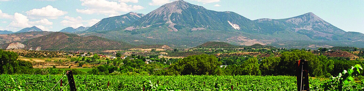 Orchard Valley Farms & Market and Black Bridge Winery in Paonia, CO