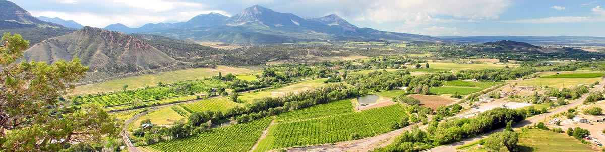 Orchard Valley Farms & Market and Black Bridge Winery in Paonia, CO (3)