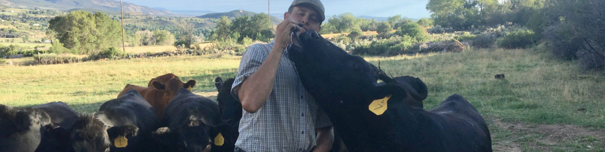 Orchard Valley Farms & Market and Black Bridge Winery in Paonia, CO (5)