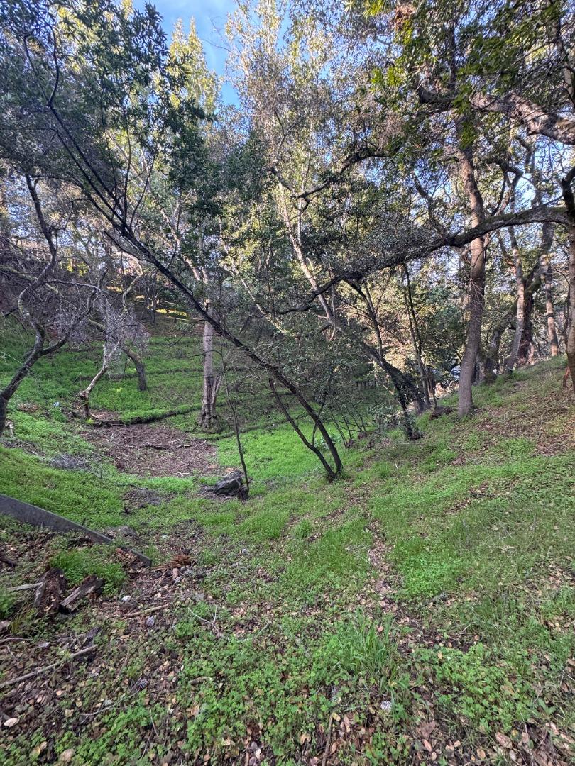 Bouja & Swenson Group | Golden Gate Sotheby's International Realty in Los Gatos, CA