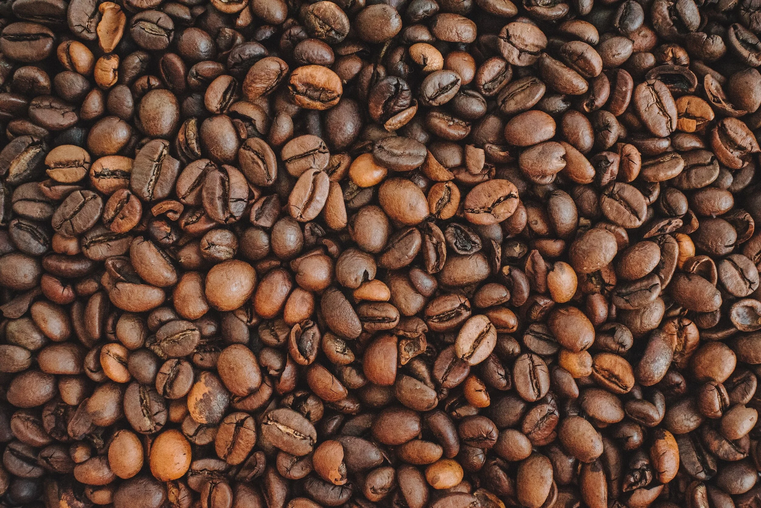 B. Leigh’s Coffee in Stewartstown, PA (2)
