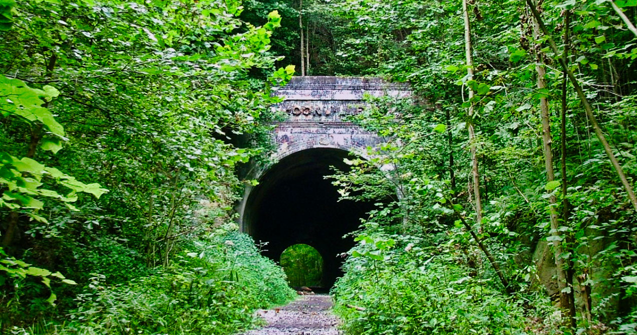 Zaleski State Forest in Zaleski, OH