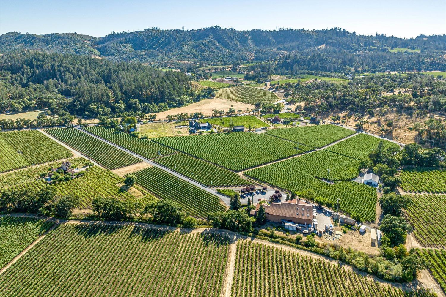 Yvonne Rich - Napa Valley Luxury Real Estate in St Helena, CA