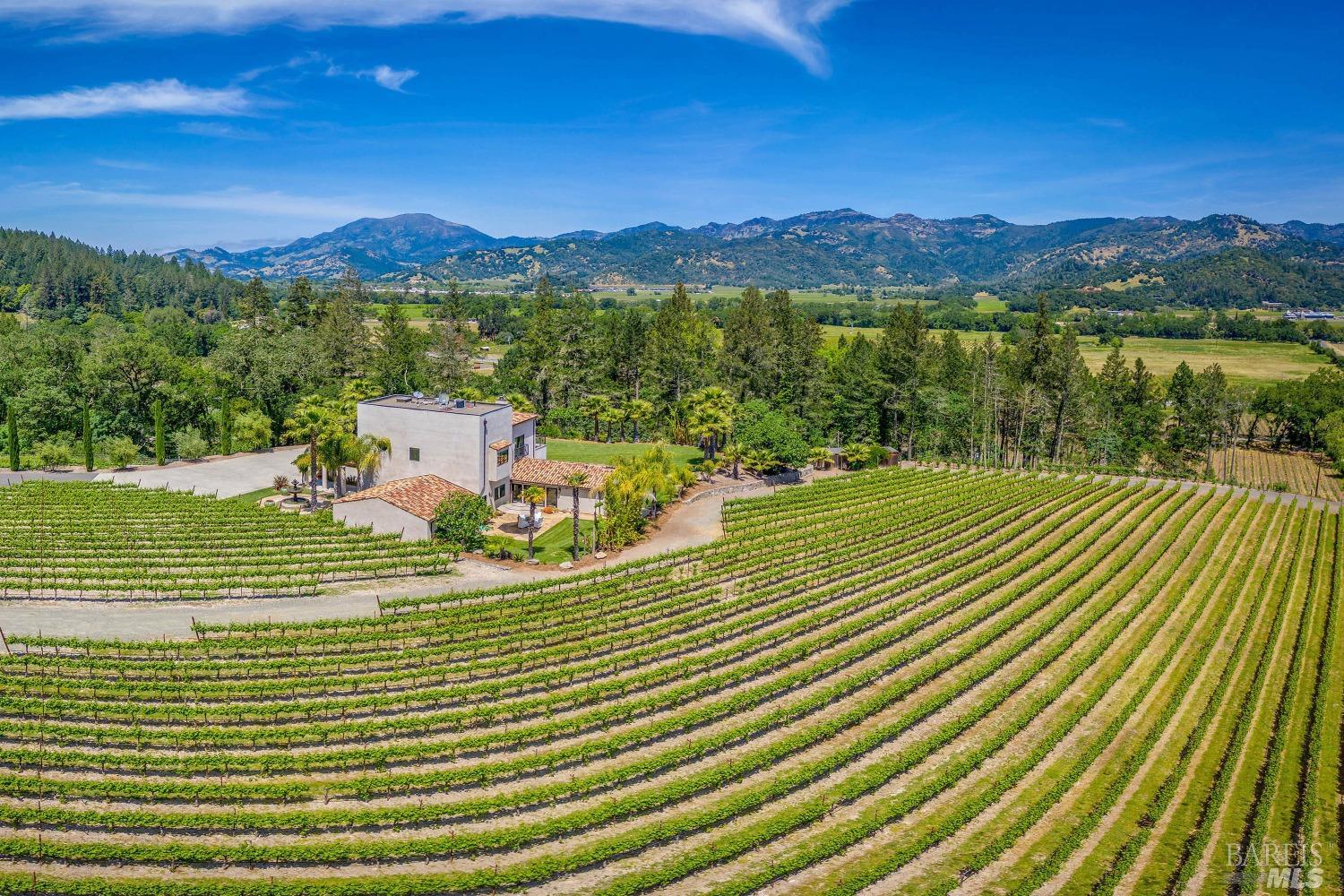 Yvonne Rich - Napa Valley Luxury Real Estate in St Helena, CA (2)