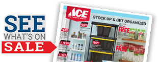 Ace Peninsula Hardware in Williamsburg, VA (3)