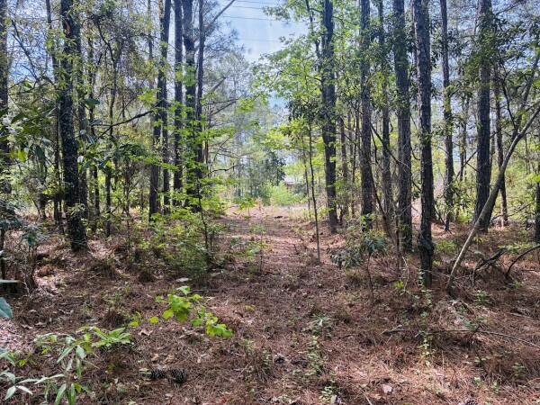 National Land Realty - LaGrange in Hogansville, GA
