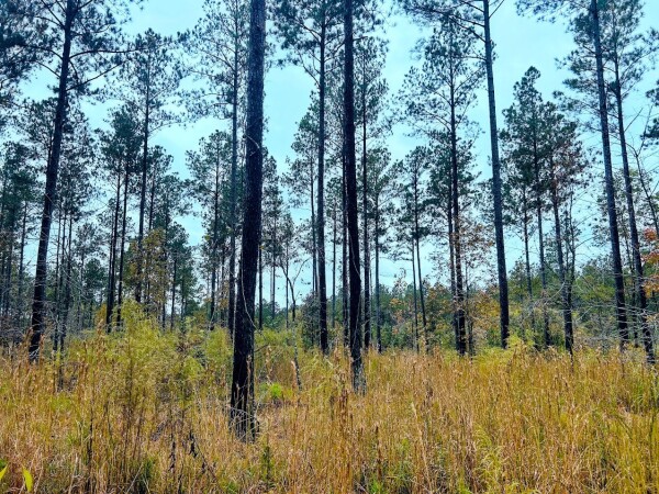National Land Realty - LaGrange in Hogansville, GA (2)