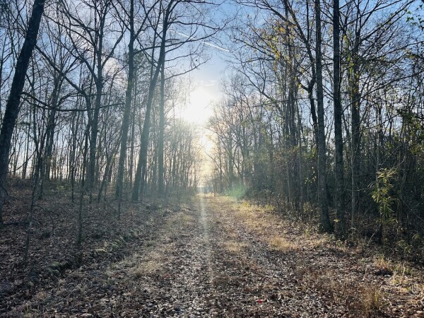 National Land Realty - LaGrange in Hogansville, GA (4)