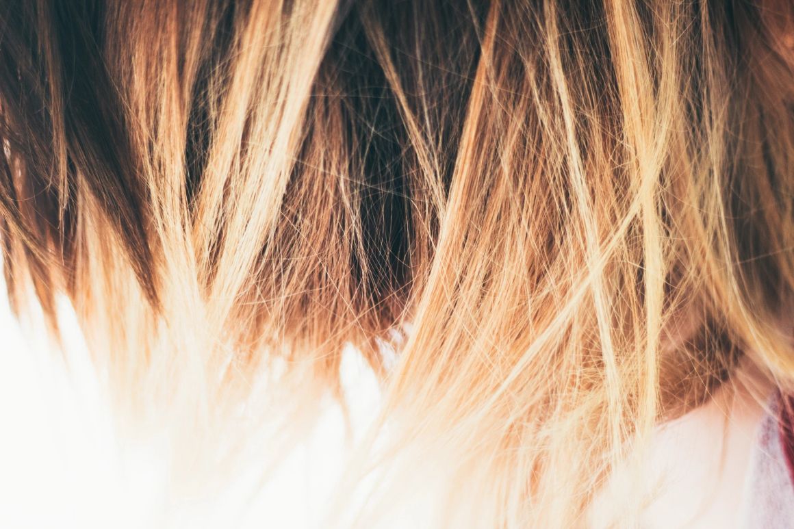 Blondies Salon in Grass Valley, CA