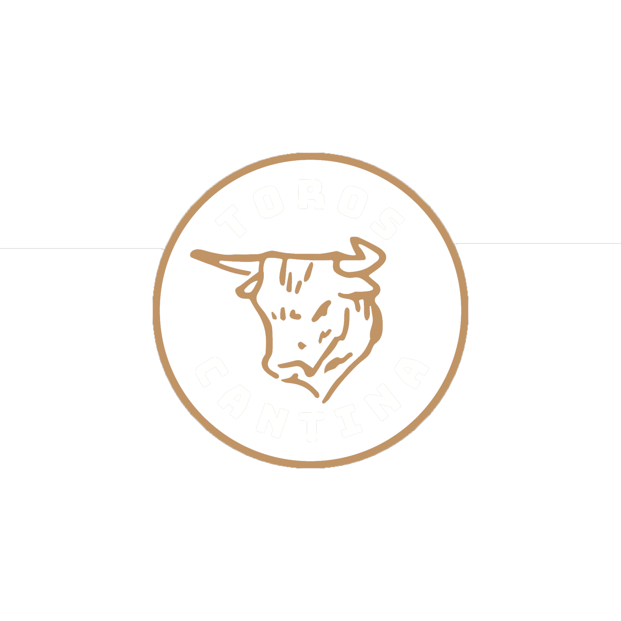 Toros Cantina in Oxford, NC (6)