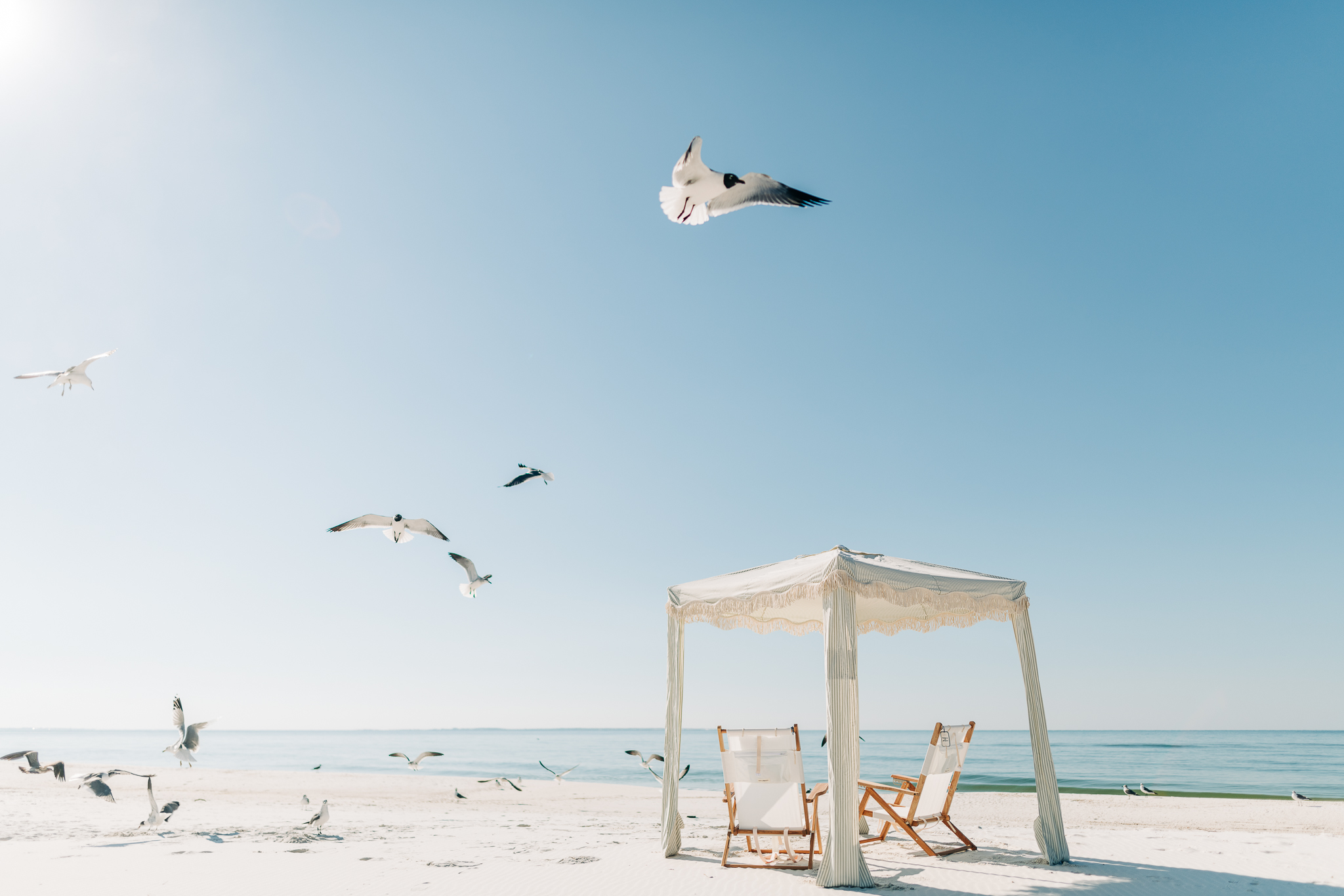 Selling the Coast Real Estate in Port St Joe, FL (2)