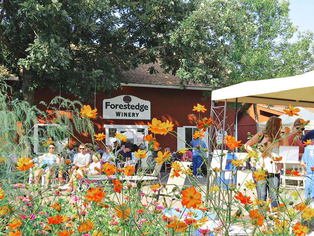 Forestedge Winery in Laporte, MN (3)