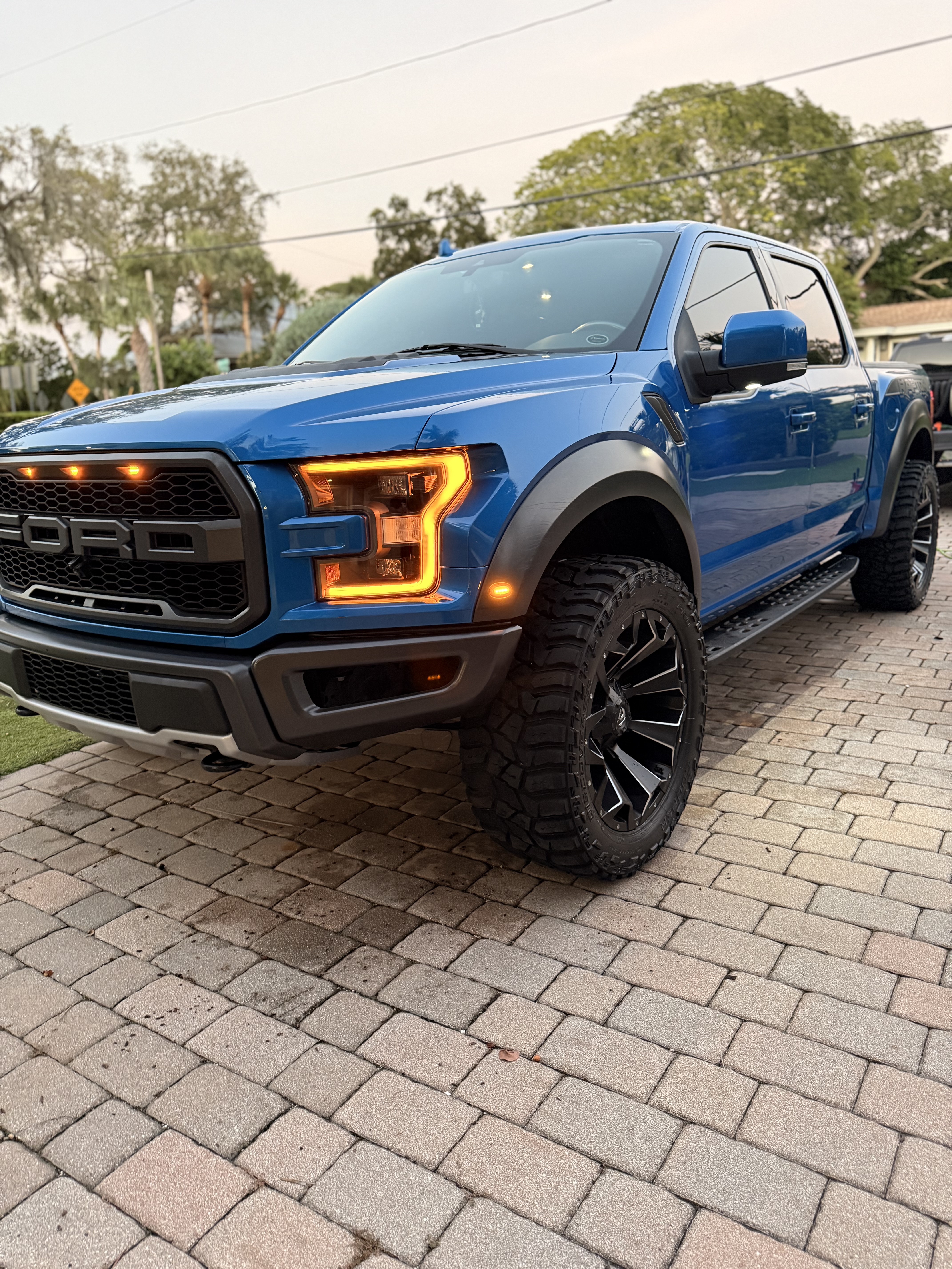 Custom Auto Detailing - Paint Corrections & Ceramic Coatings in Tampa, FL (5)
