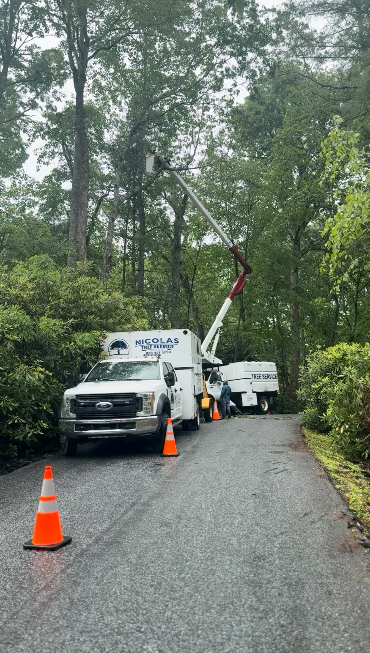 NICOLAS TREE SERVICE in Spruce Pine, NC