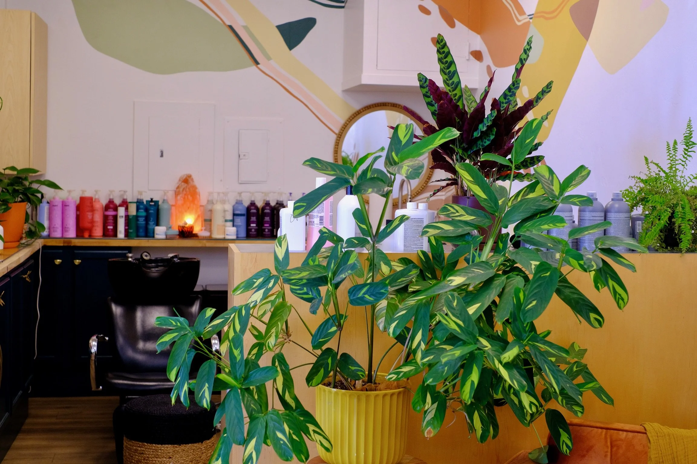 Zerene Salon in Capitola, CA