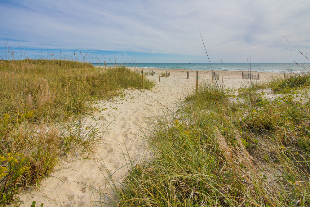 The Selling Team - Elaine Main/Realty World First Coast Realty in Atlantic Beach, NC