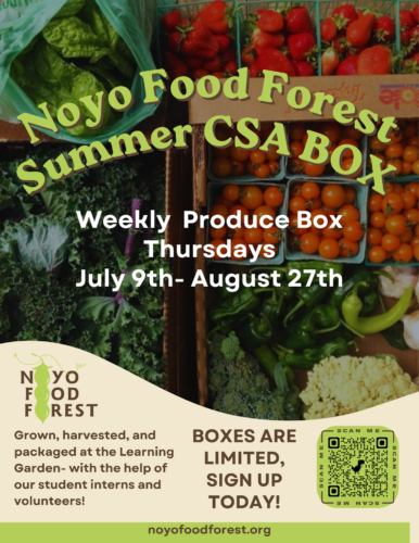 Noyo Food Forest in Fort Bragg, CA
